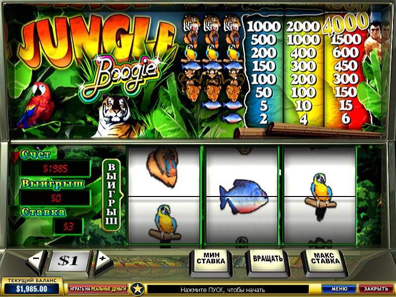 Jungle Boogie