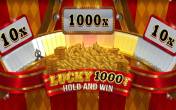 Lucky 1000 Hold & Win (демо-версия)