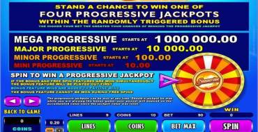 Mega Moolah Summertime – Progressive: Уникальные функции
