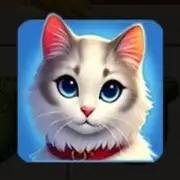 Milk & Luck: Кошка