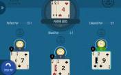 Perfect Pairs Blackjack (Felt Gaming)