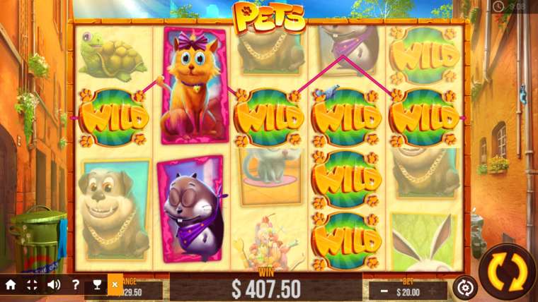 Видео покер Pets демо-игра