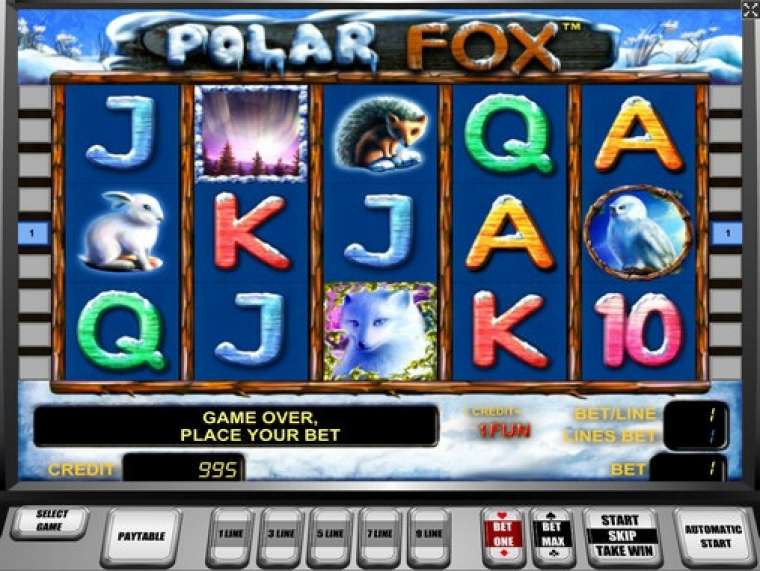 Видео покер Polar Fox демо-игра