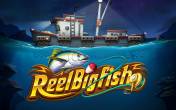 Reel Big Fish (демо-версия)
