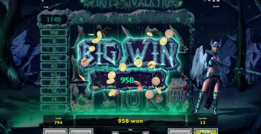 Spirits of the Valkyrie: Выигрыши