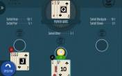 Suit’em Up Blackjack (Felt Gaming)