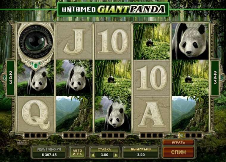 Видео покер Untamed Giant Panda демо-игра