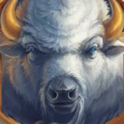 Wild Buffalo: Wild