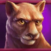 Wild Buffalo: Тигр