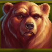 Wild Buffalo: Медведь