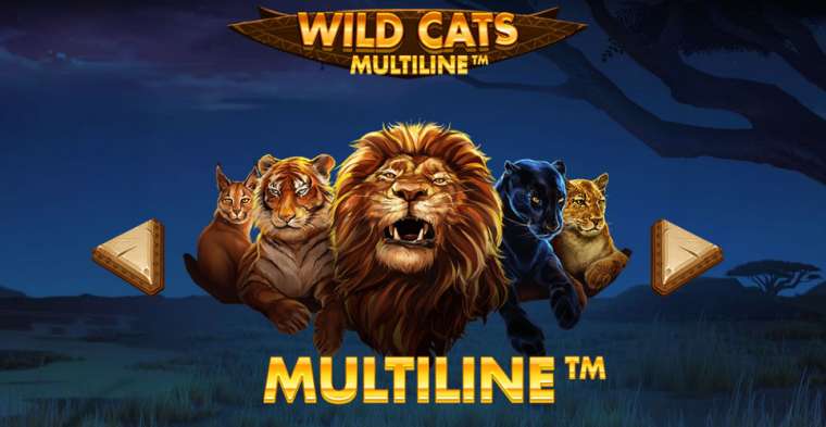 Видео покер Wild Cats Multiline демо-игра