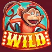 Wild Circus: Wild