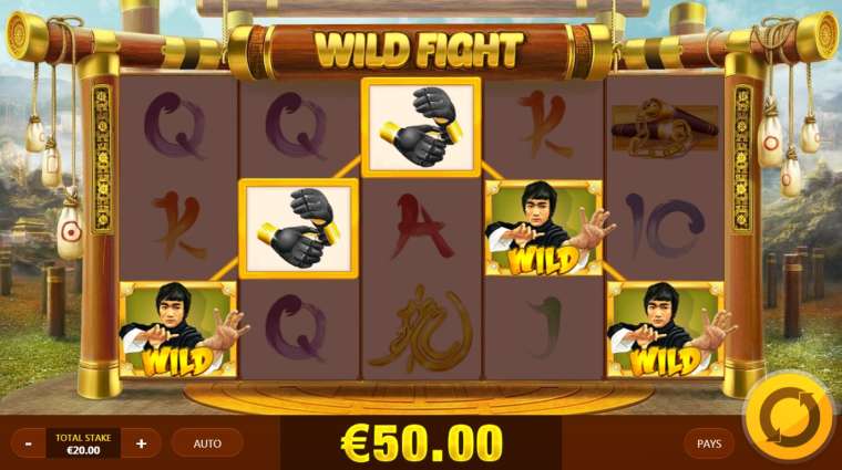 Видео покер Wild Fight демо-игра