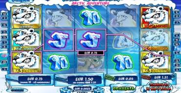Wild Gambler – Arctic Adventure: Функции