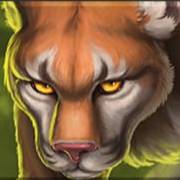 Wolf Legend Spin Boost: Леопард