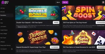 300 free spins on The Dog House at Nokycbets: Онлайн казино Nokycbets