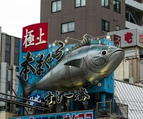 MGM рассматривает токийский рыбный рынок, как место под казино