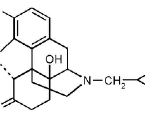 Naltrexone - таблетка от лудомании