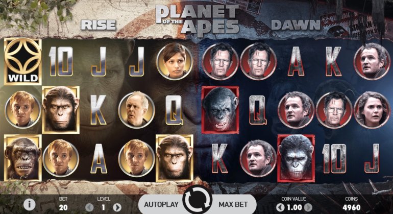 Скриншот линий игрового автомата Planet of the Apes от NetEnt