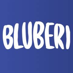 Провайдер Bluberi
