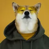 fordglesc