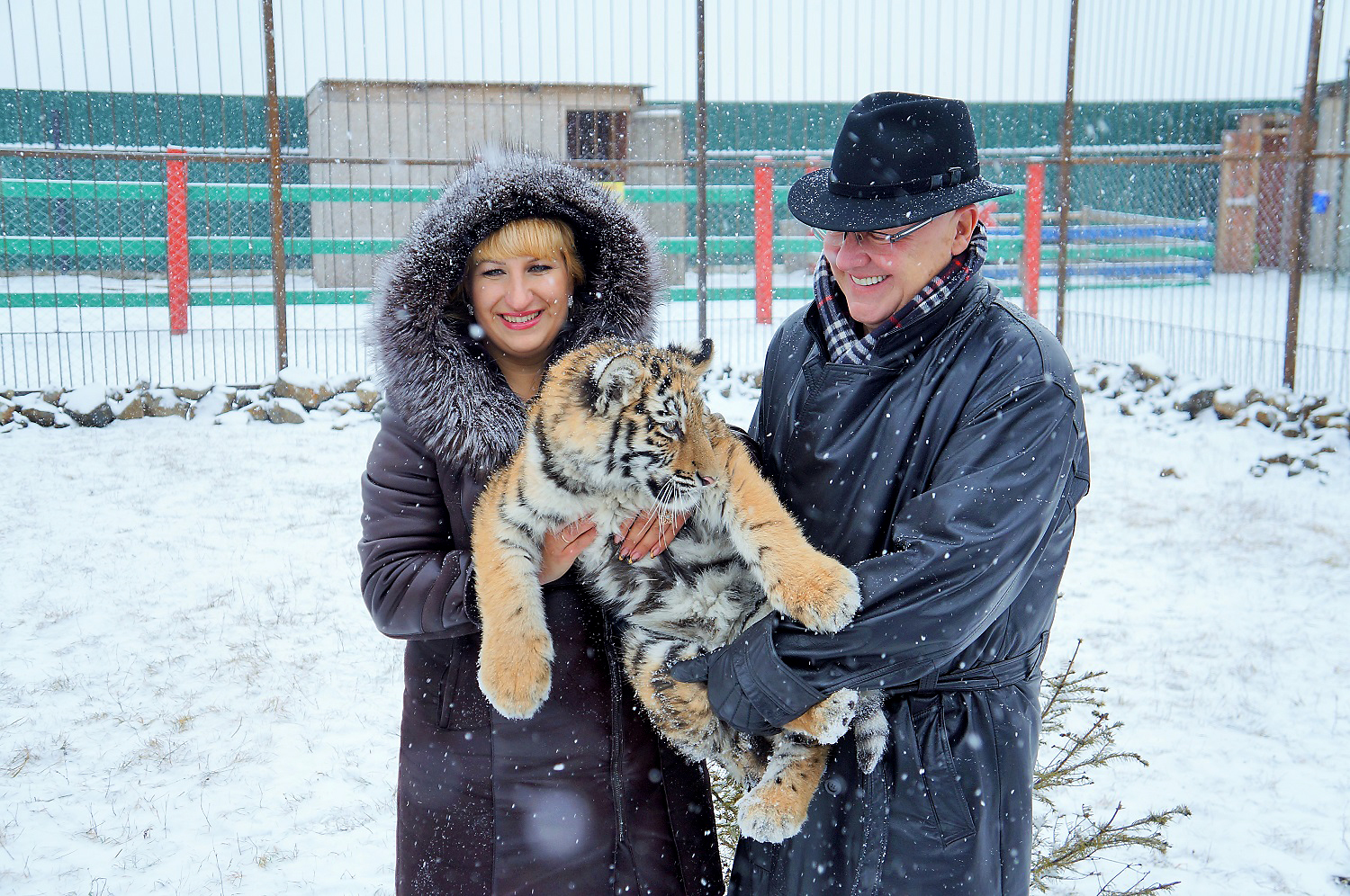Екатерина Зотова и Крейг Баллантайн в зоопарке ' Чудесный''='